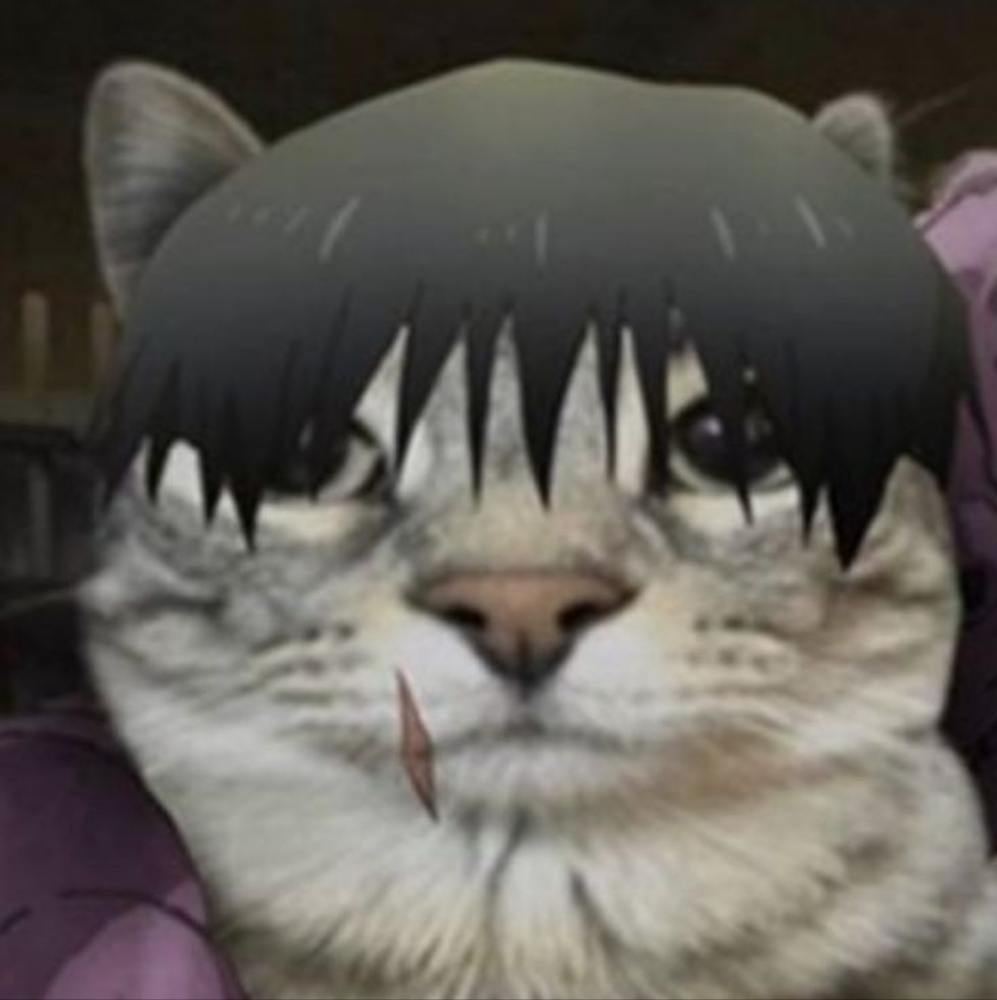 Meet your Posher, Gordi